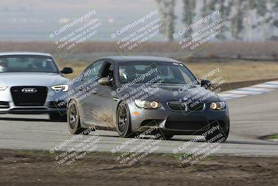media/Jan-21-2024-VARA University (Sun) [[029a75d59f]]/Blue Group/Grapevine/